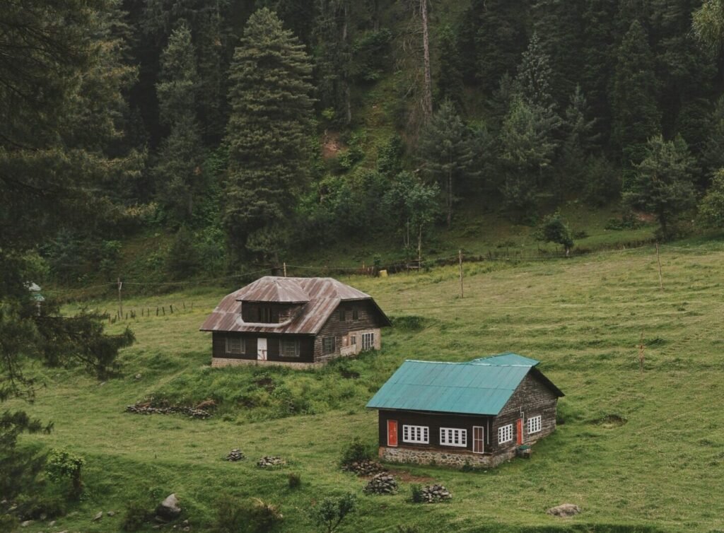 green and brown house on green grass field