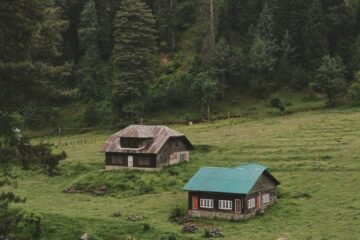 green and brown house on green grass field