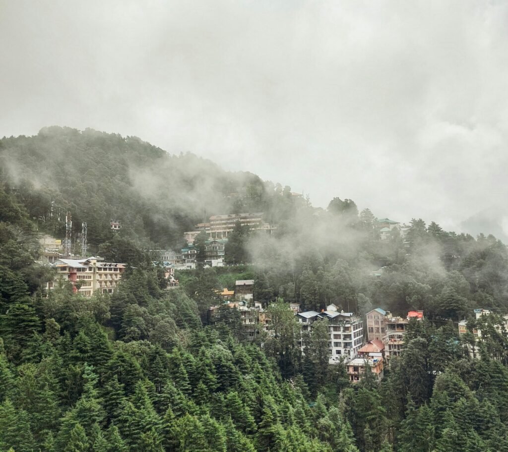 green trees and city buildings under white clouds during daytime