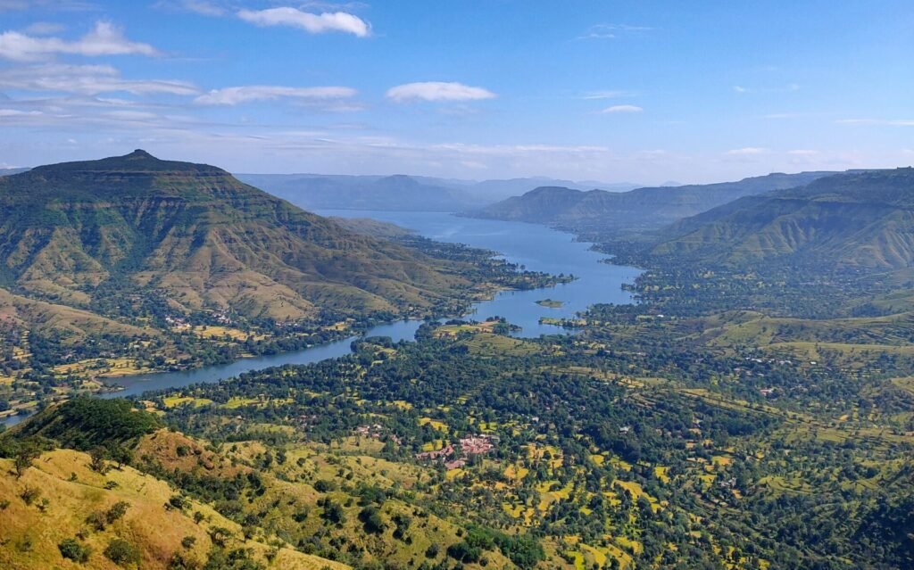 green trees on mountain under blue sky during daytime