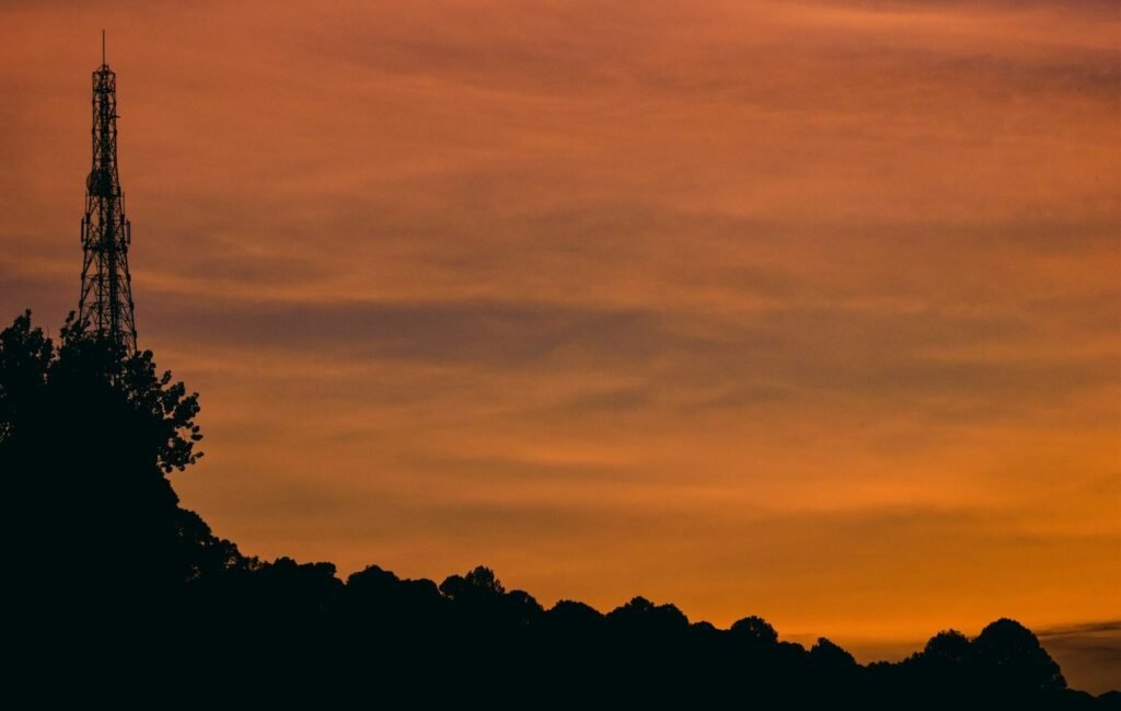 silhouette of trees under cloudy sky during sunset