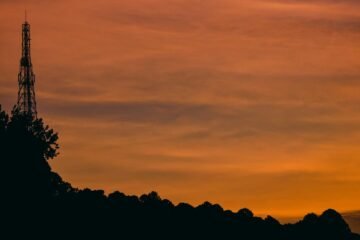 silhouette of trees under cloudy sky during sunset